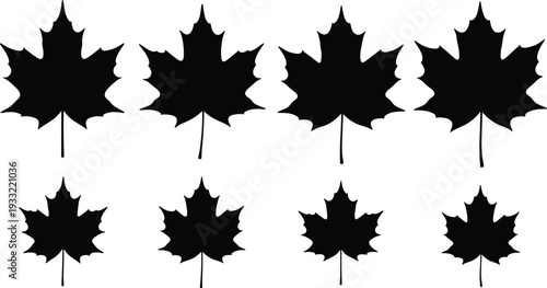 Beautiful cinematic landscape of nature during golden hour with vibrant sunset sky, perfect for travel background, adventure concept, professional photography and commercial design use.