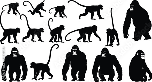 Black primate silhouettes collection featuring monkeys and gorillas in dynamic walking, running, climbing poses, contrasting tails, body structures, upright stances, isolated vector illustration
