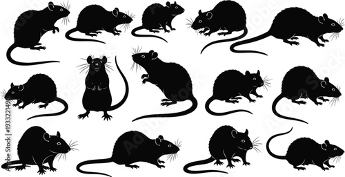 Black rat silhouettes collection, rodents in various poses, standing, crouching, walking, whiskers, tails, ears, paws, animal vector icons, wildlife illustration design set