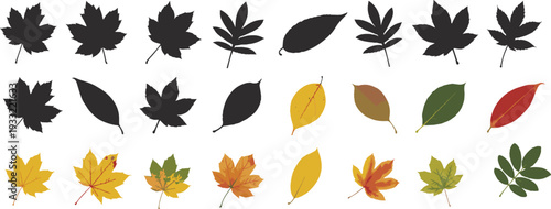 Autumn leaves collection set with black silhouettes and colorful fall foliage isolated on light background, seasonal nature vector illustration bundle