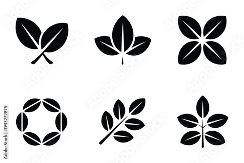 Set of Leaf Icons: Nature, Botany, Ecology, and Growth Symbols