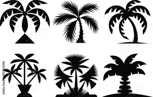 Tropical Palm Trees Black Silhouette Bundle