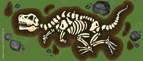 Tyrannosaurus rex fossil excavation illustration showing dinosaur skeleton buried underground with rocks and soil layers. Prehistoric paleontology concept ideal for science education, natural history 
