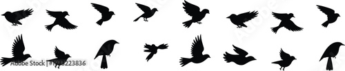 Flying bird silhouettes collection isolated on white background, black avian vector set with perched and soaring birds for logo, tattoo and decorative design