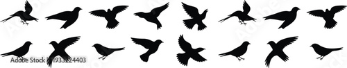 Flying bird silhouettes set isolated on white background, black avian vector collection with perched and soaring birds for logo, print and decorative design