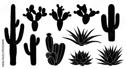 Black silhouettes of various cactus and succulent plant species