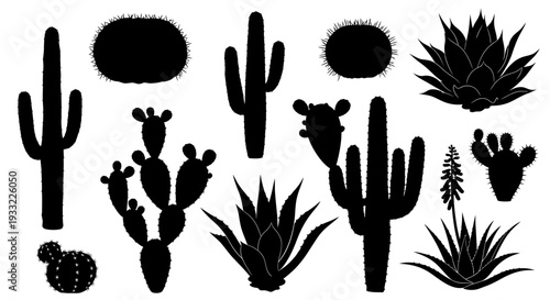 Silhouettes of various desert cacti and succulent plants against white