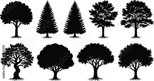 Tree silhouette collection various forest trees and pine shapes isolated on white background