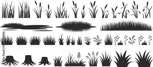 Grass and reed silhouettes collection with cattails, bushes, tree stumps and pond elements isolated on white background, black nature vector set for landscape design