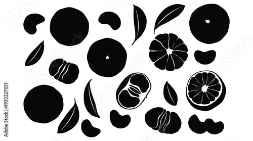 Assortment of citrus fruit slices and segments isolated on transparent background vector