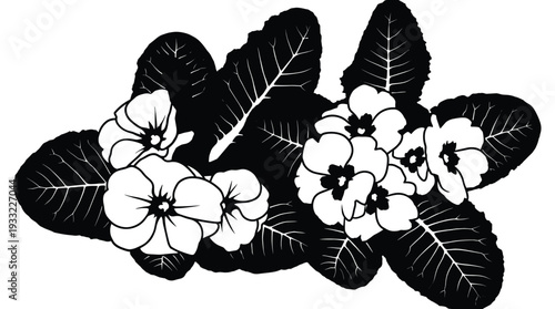 Primrose flower silhouette with detailed leaf veins and blooming garden petals