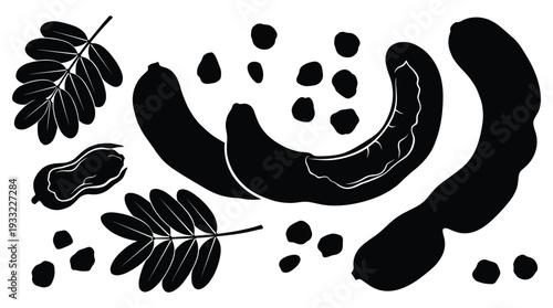 Tamarind pods, seeds, and leaves, vector black silhouettes for food ingredients