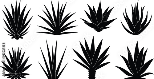 Set of black agave plant silhouettes isolated on white background, collection of succulent cactus botanical icons for logo design, vector illustration style