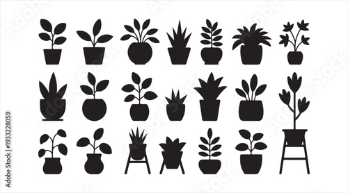 Potted houseplant silhouettes collection isolated on white background botanical icon set illustration
