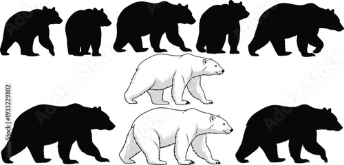 This title is clear, stylish, and keyword-rich, appealing to designers, educators, and nature-themed projects.