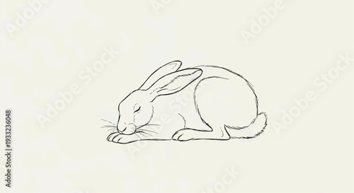 A minimalist line art illustration of a rabbit in a peaceful pose