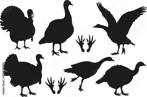 Turkey silhouette, wild bird vector, flying turkey design, Thanksgiving poultry illustration, farm animal graphic, holiday symbol, isolated turkey artwork