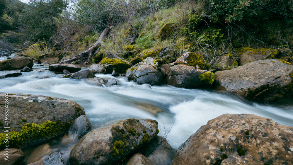 Fototapeta premium Long exposure view of a rushing creek with silky water cascading over rocks