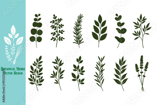 Vector set of green plants. Large collection of dark green herb silhouettes including rosemary and lavender. Minimalist botanical icons for kitchen, garden, and wellness branding designs. Vector