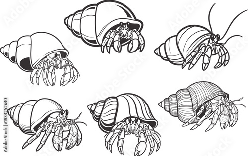 Summer hermit crabs drawings collection warm season shell dweller illustrations