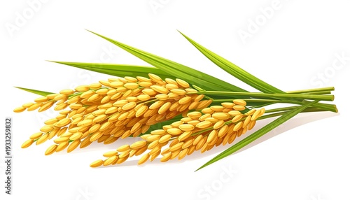 A detailed illustration of golden rice stalks with green leaves, artfully arranged on a clean, white background
