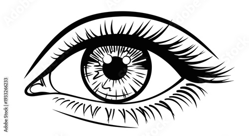 Stylized human eye line art illustration. Detailed black and white drawing with long eyelashes, iris, and pupil. Vision concept.
