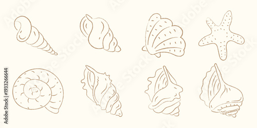 Elegant Hand Drawn Line Art Sea Shells and Starfish Collection