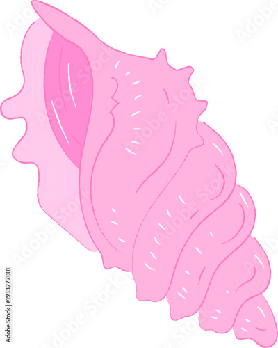 Whimsical Pink Conch Shell Hand Drawn Illustration