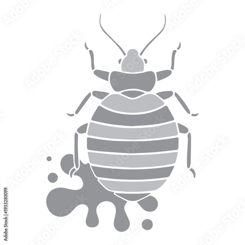 Bed bug illustration