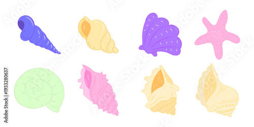 Vibrant Hand Drawn Sea Shells and Starfish Collection