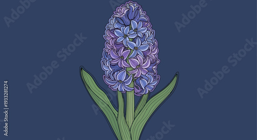 Hyacinth flower on dark blue backdrop, cartoon style