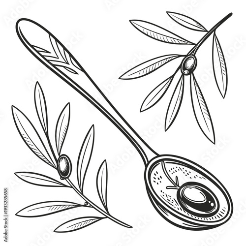 Olive branches and spoon with single olive fruit, detailed hand drawn engraving style vector for food product packaging