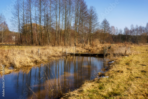 Wiosna wkracza w Dolinę Górnej Narwi, Podlasie, Polska
