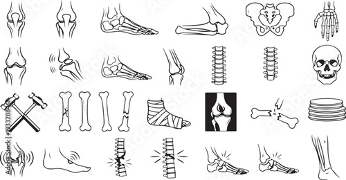 Detailed illustrations of human skeleton and bone injuries