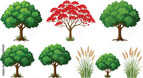 Set of diverse botanical vector illustrations featuring green deciduous trees red flowering tree small bush and pampas grass stalks,