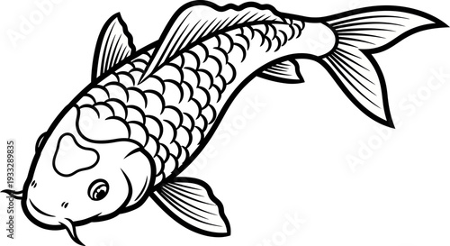 Majestic koi fish swimming with elegant fins and scales