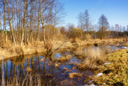 Wiosna wkracza w Dolinę Górnej Narwi, Podlasie, Polska