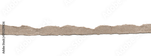 Natural brown kraft paper tear with a textured rough edge over an empty white space