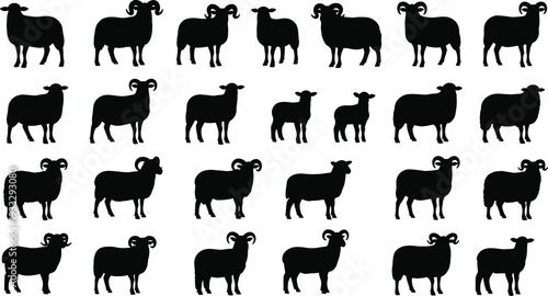 Sheep and ram silhouette collection vector illustration, farm livestock animal set isolated on white background, rural agriculture design