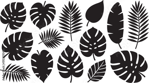 A collection of stylized black silhouettes depicting various tropical leaves and foliage against a white background Vector