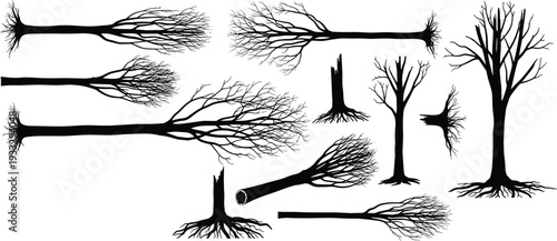 Tree silhouette collection vector illustration, bare trunks roots and branches isolated on white background, forest nature design elements
