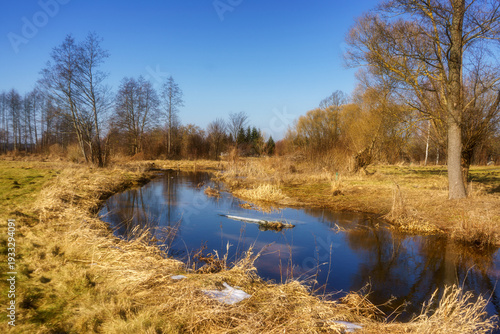 Wiosna wkracza w Dolinę Górnej Narwi, Podlasie, Polska