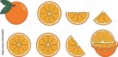 Fresh orange fruit slices vector set with whole orange and green leaves isolated on white background for healthy food design