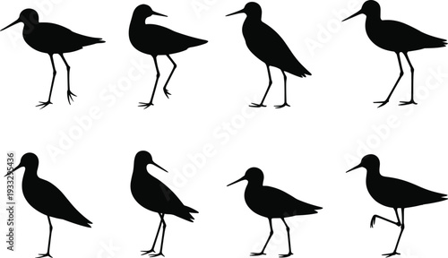 Shorebird silhouette collection featuring wading birds in various poses isolated on white background for wildlife, coastal and nature design