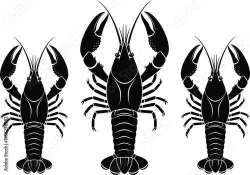 Black and white lobster silhouette illustration, three crustaceans with claws and antennae, symmetrical marine artwork design, seafood animal anatomy decorative vector
