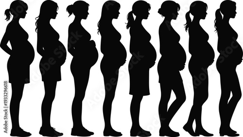 Silhouette collection of pregnant women at different stages of pregnancy side view maternity progression maternal health concept isolated on white background illustration