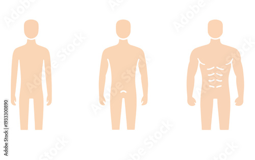 Male Body Types: Ectomorph, Mesomorph, Endomorph Physique Comparison Illustration