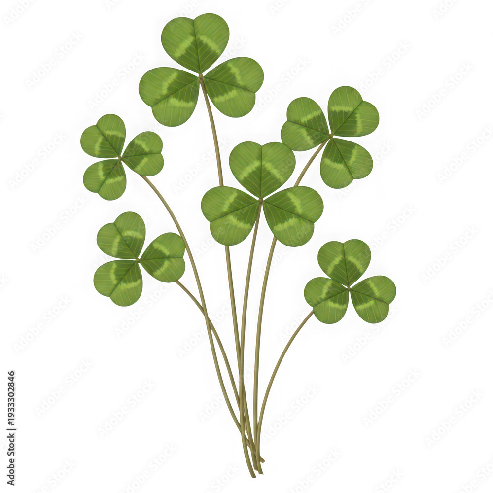 Fototapeta premium A bunch of green clover leaves on thin stems isolated on transparent background, PNG