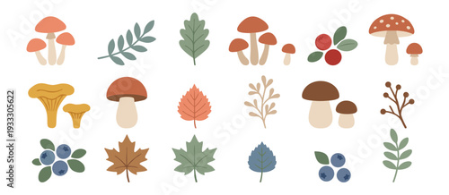 Autumn mushroom and forest foliage flat icons set, woodland nature leaves berries and toadstools collection on transparent background