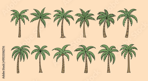 Collection of various palm trees on beige background.